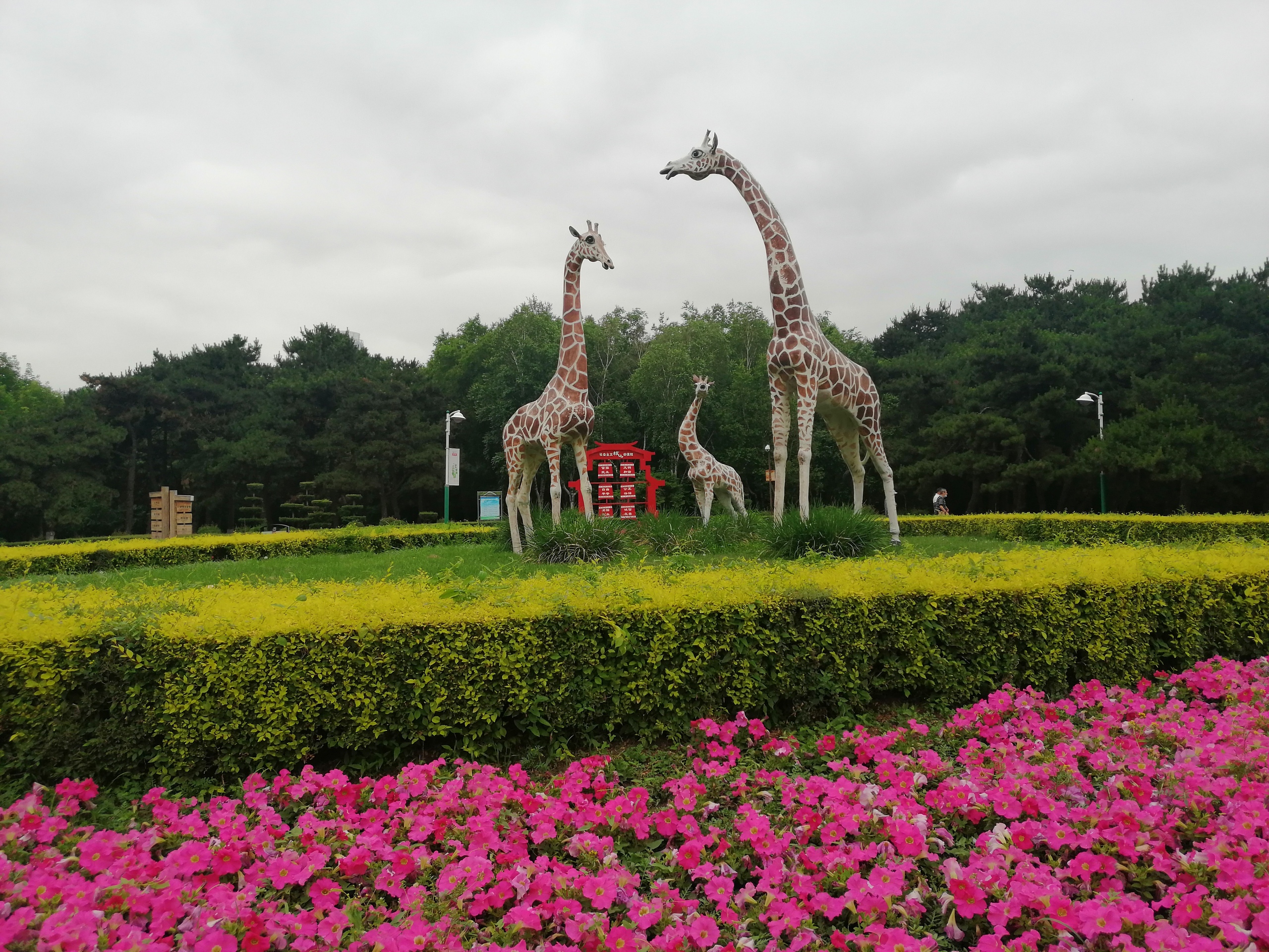 jns8qDXsIMo.jpg jns8qDXsIMo.jpg