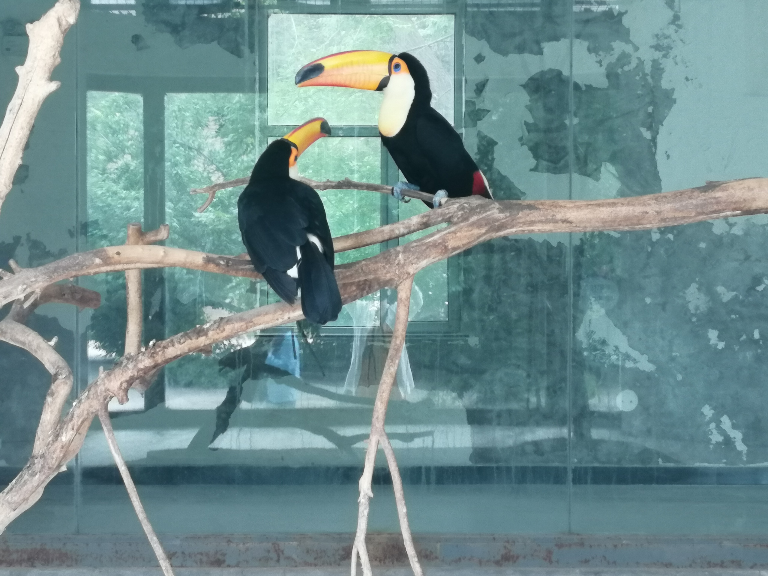 4wRikI93Jro.jpg 4wRikI93Jro.jpg