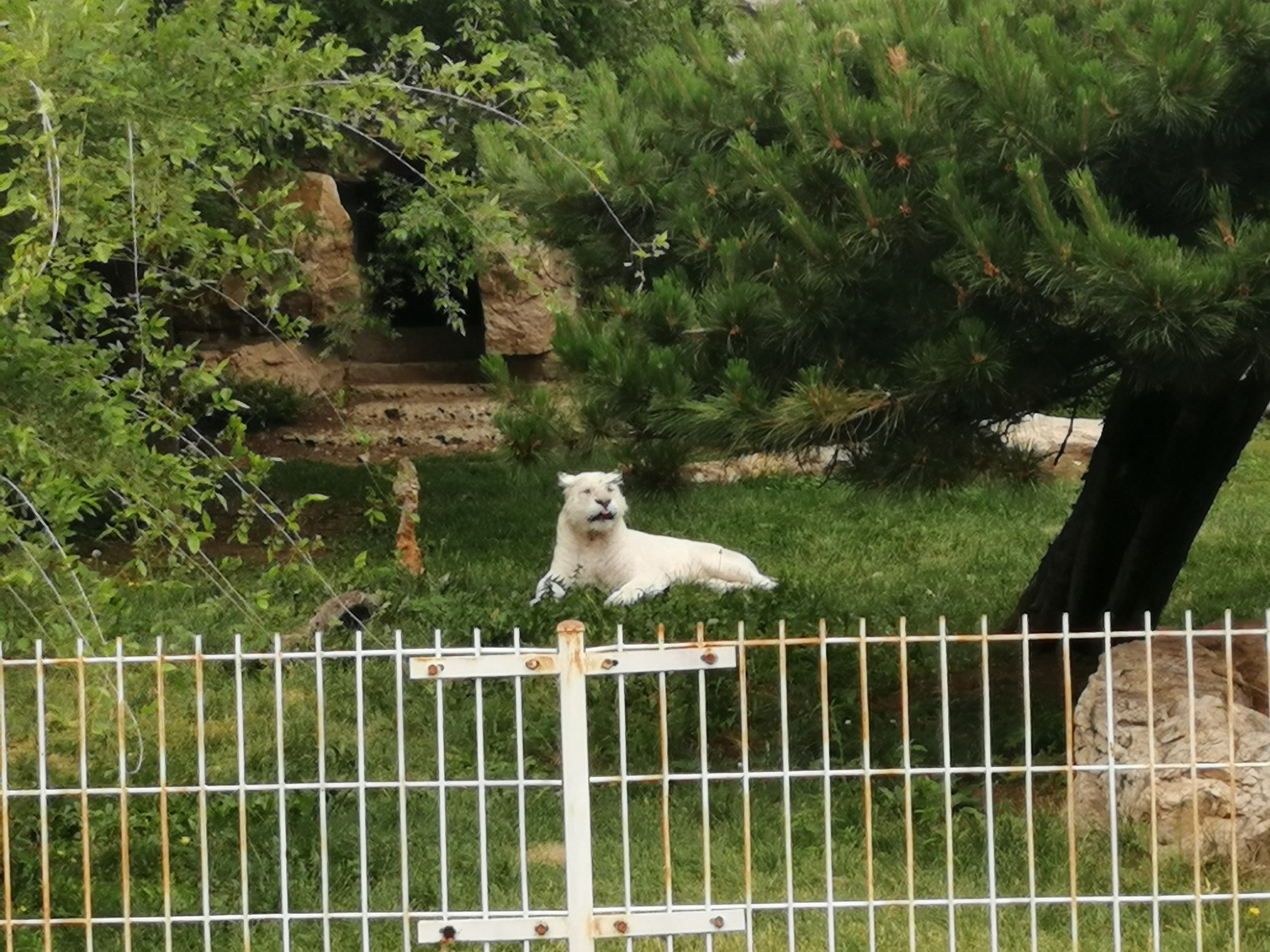 BfBG8gbLod8.jpg BfBG8gbLod8.jpg