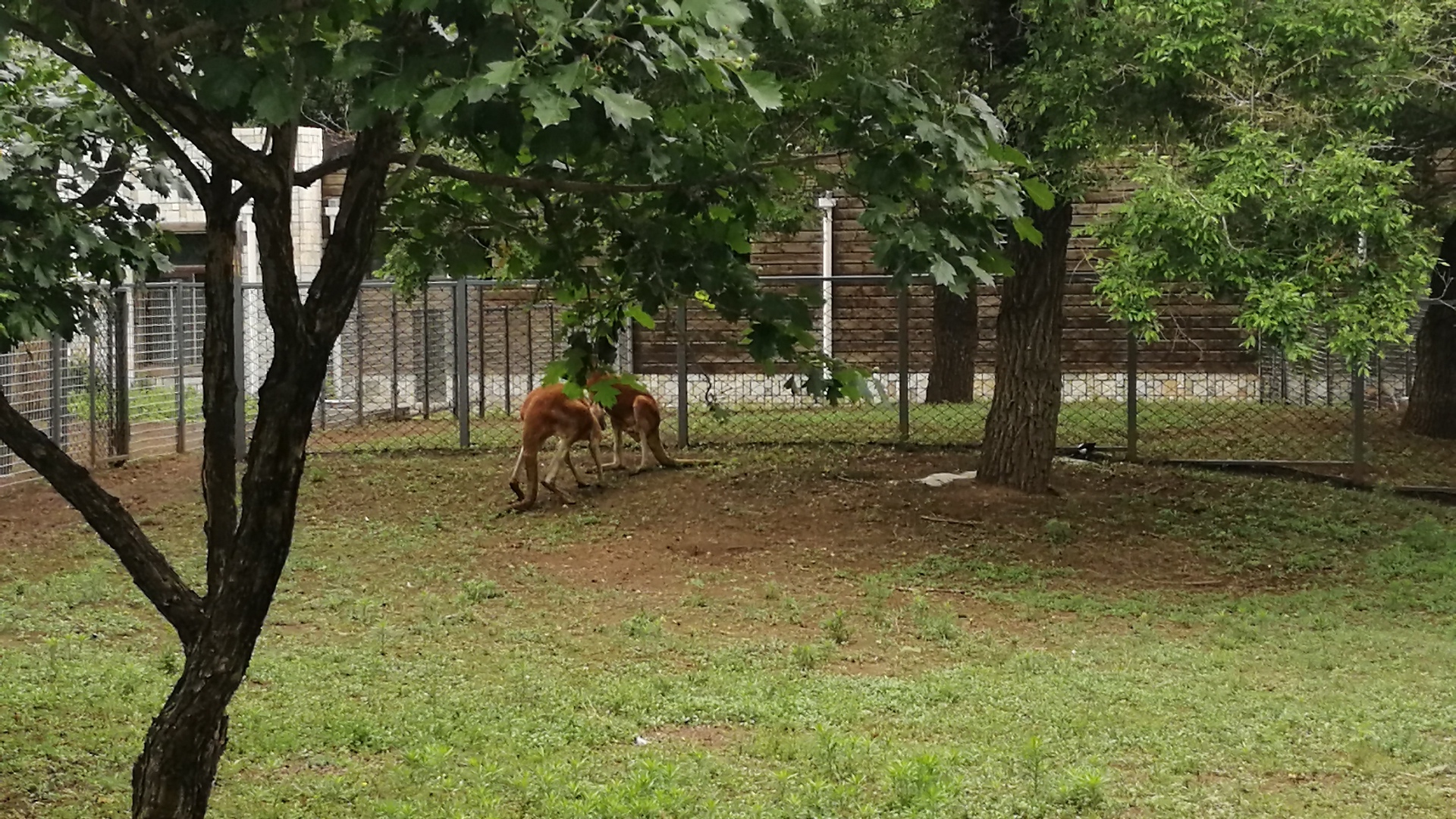 FCvw7PzPO8o.jpg FCvw7PzPO8o.jpg